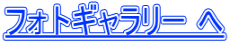�t�H�g�M�������[ ��