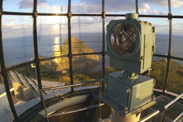 ���낤���̎ʐ^