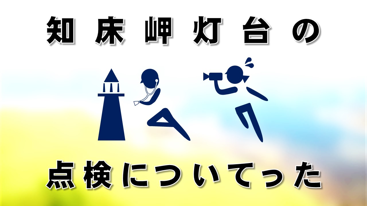 ����T���l�C��