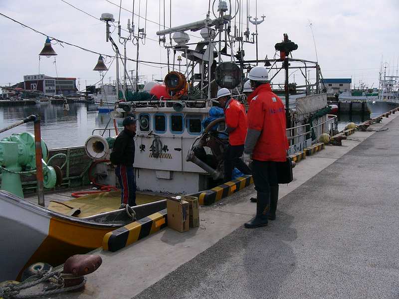 ���D���S�w��