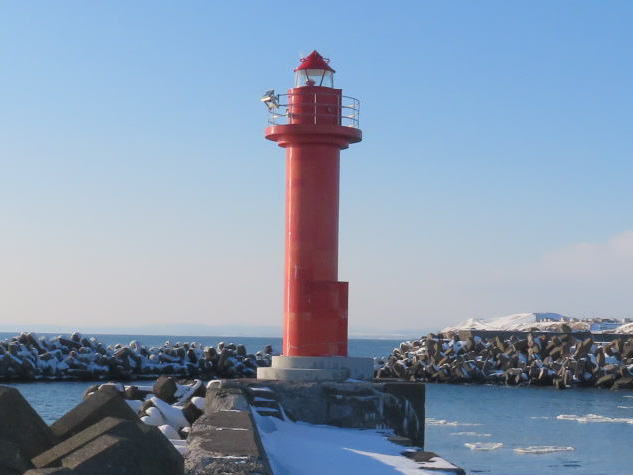 �j���`��h�g�瓔��