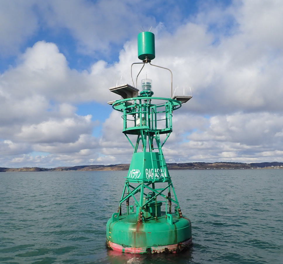 ���ݍ`�o���T����k���������W