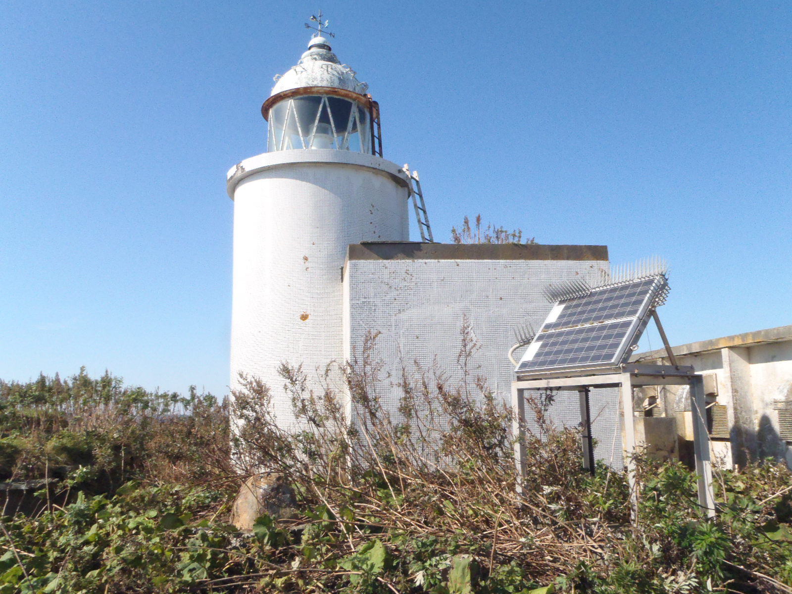 ���ݓ���