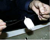 �j�����ł܂悤���ɌŒ�