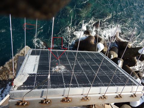 �ߋ��ɑ��z�d�r�p�l�����j�����ꂽ�h�g�瓔��