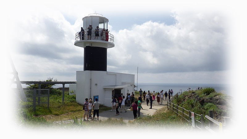 �_�Ж������ʌ��J�̗���ҏ�