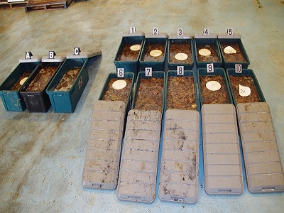 �������ꂽ�Ȃ܂�