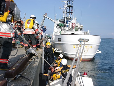 ���M�s�e�֌W�@�ւƂ̍����P�����̏�