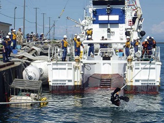 �����T�[�L�b�g�P��