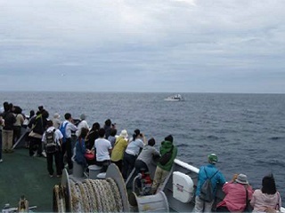 �鏄���D�u����Ƃ��v�̑̌��q�C