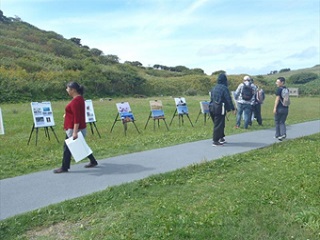 ����p�l���W���̗l�q