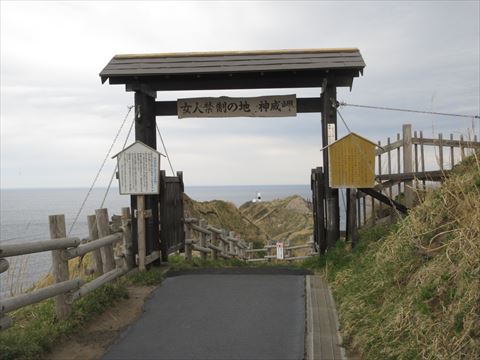 �V����������̖�