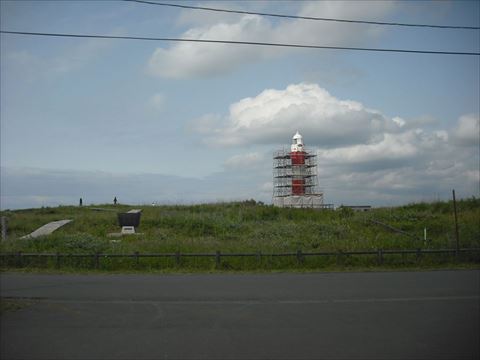 �͂܂Ȃ��̉Ԃ��U��A�����傫���Ȃ鎞���ł�(6��29���B�e)