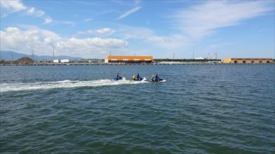 �Ύ�p�̃p�g���[���Ɍ�����