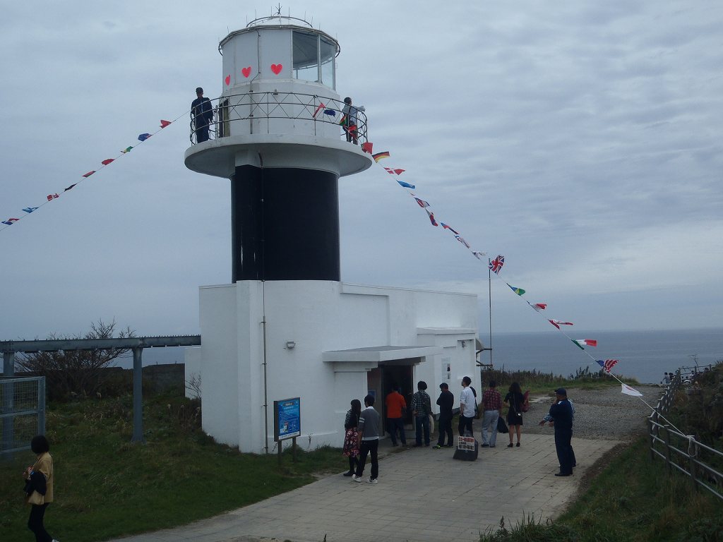 �_�Ж������ʌ��J�̗���ҏ�