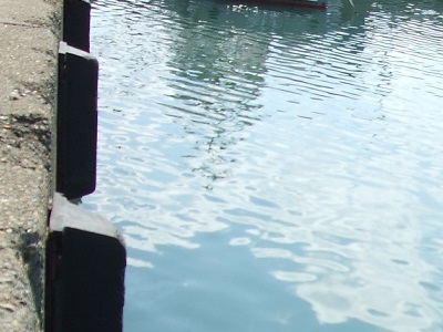 ���̕s�@�r�o