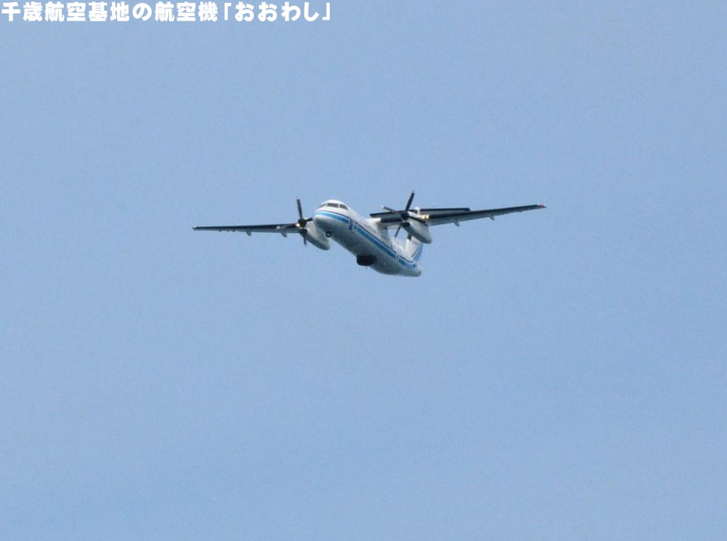 ��΍q���n�̍q��@�u�����킵�v