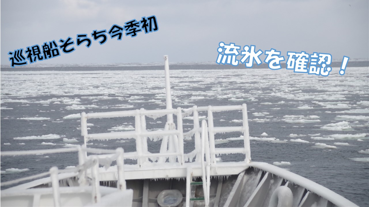 ����T���l�C��