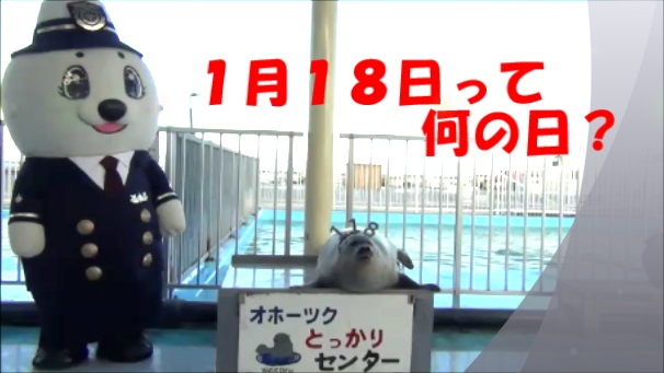 ����T���l�C��