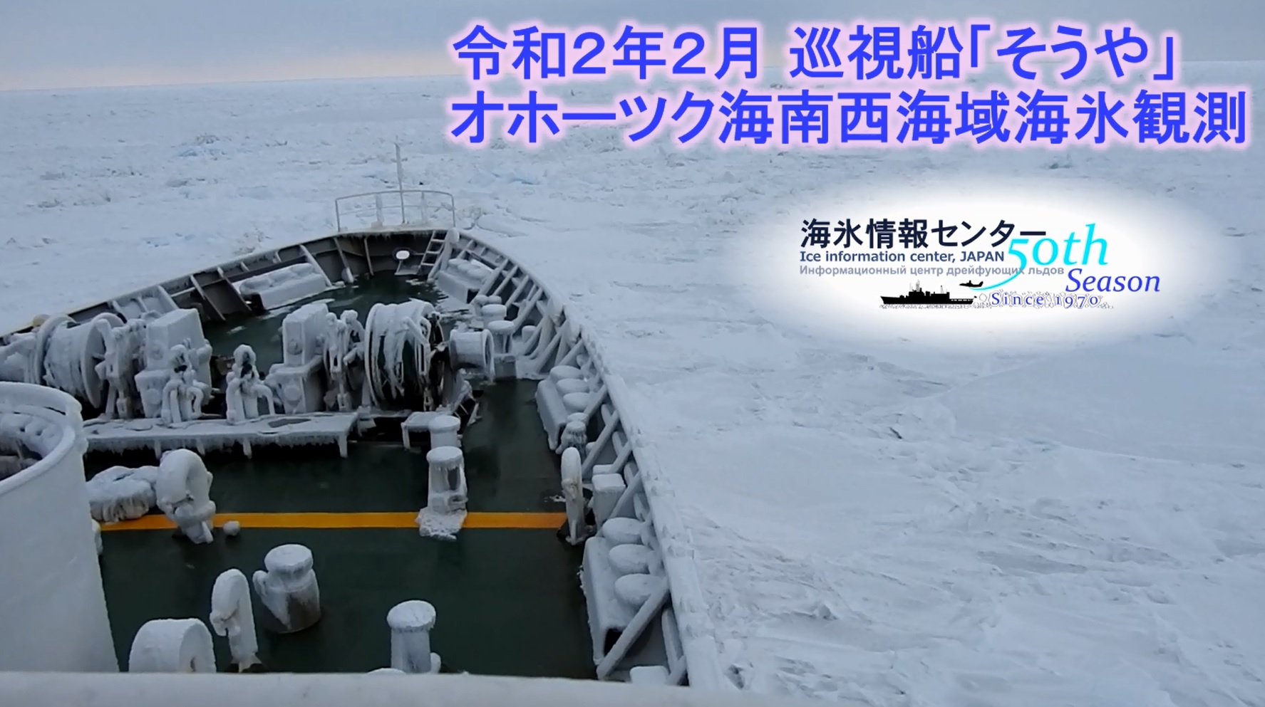 ����T���l�C��