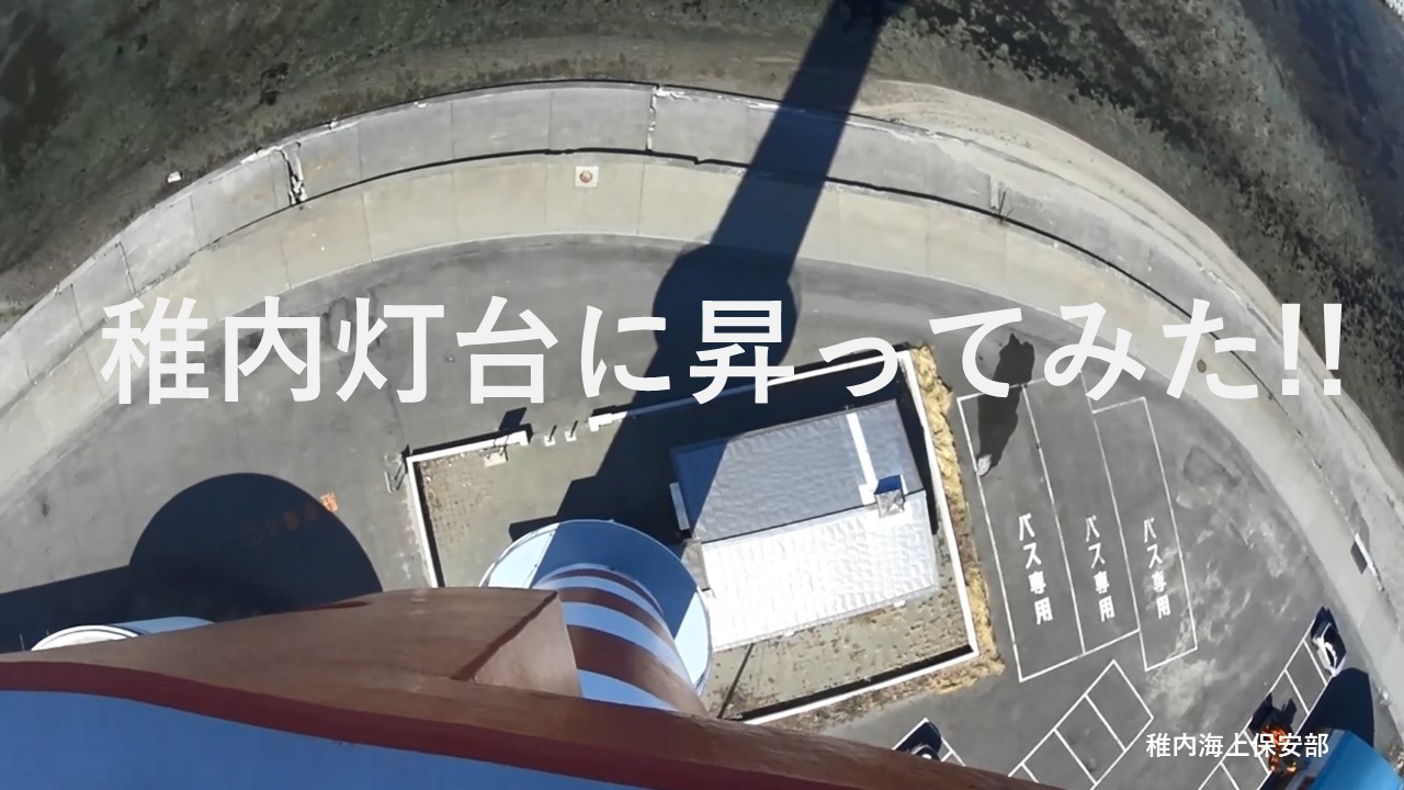 ����T���l�C��