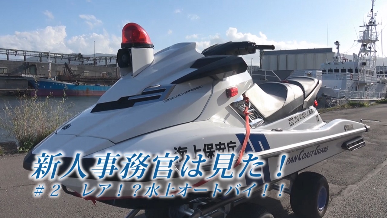 ����T���l�C��