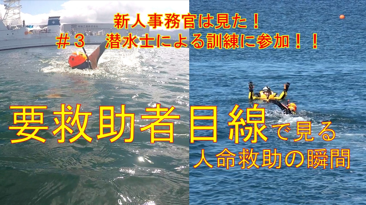 ����T���l�C��