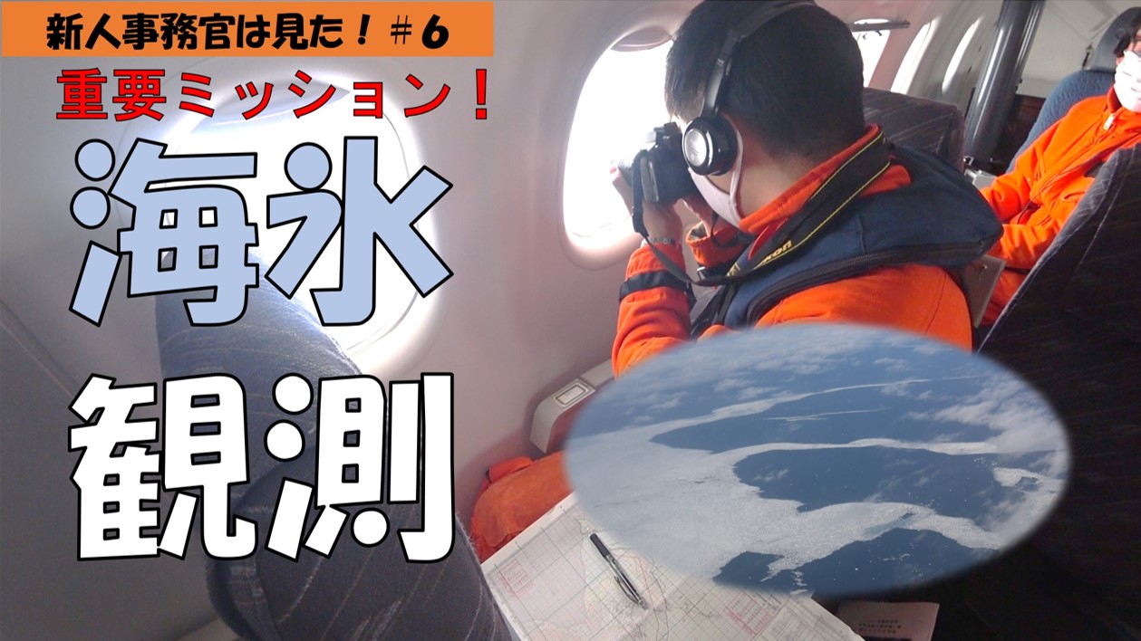 ����T���l�C��