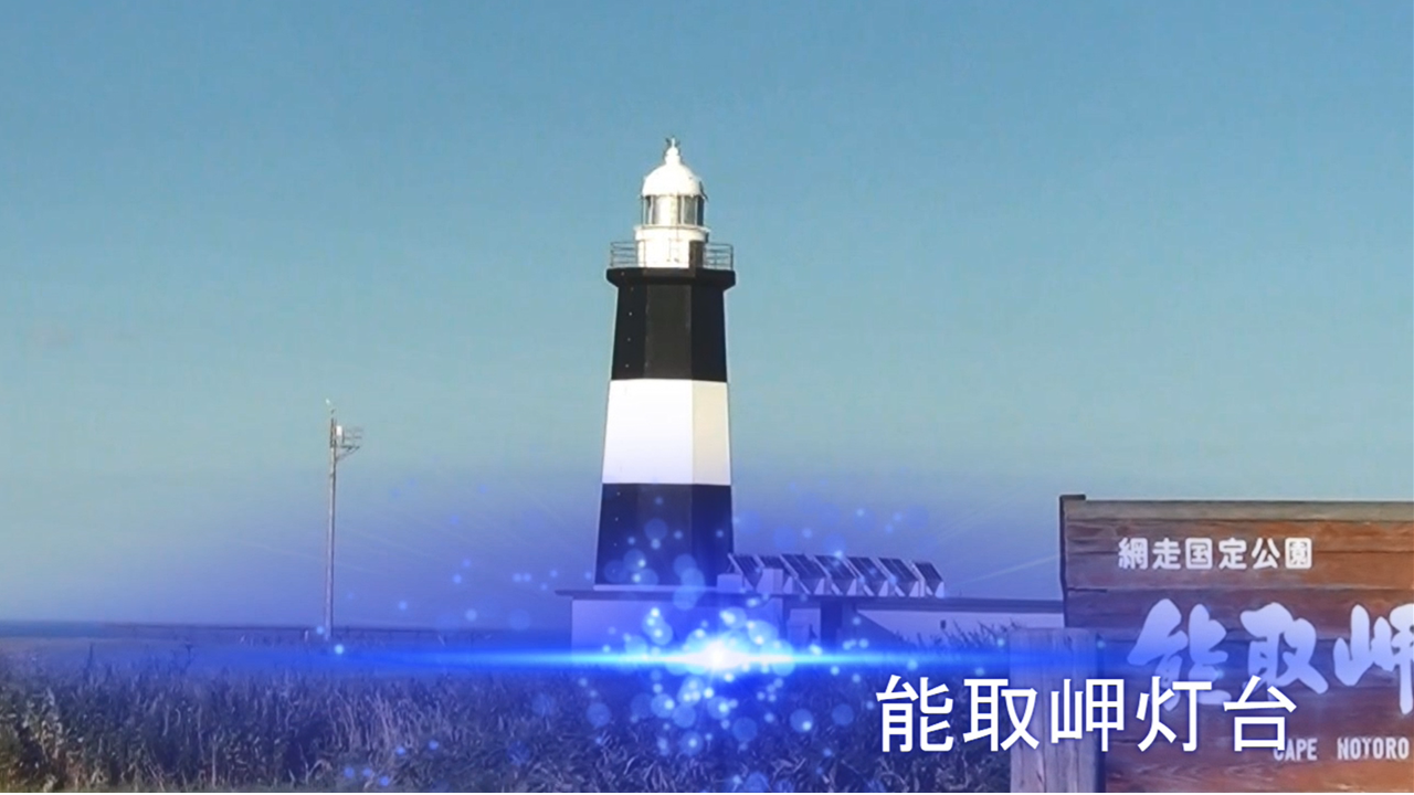 ����T���l�C��