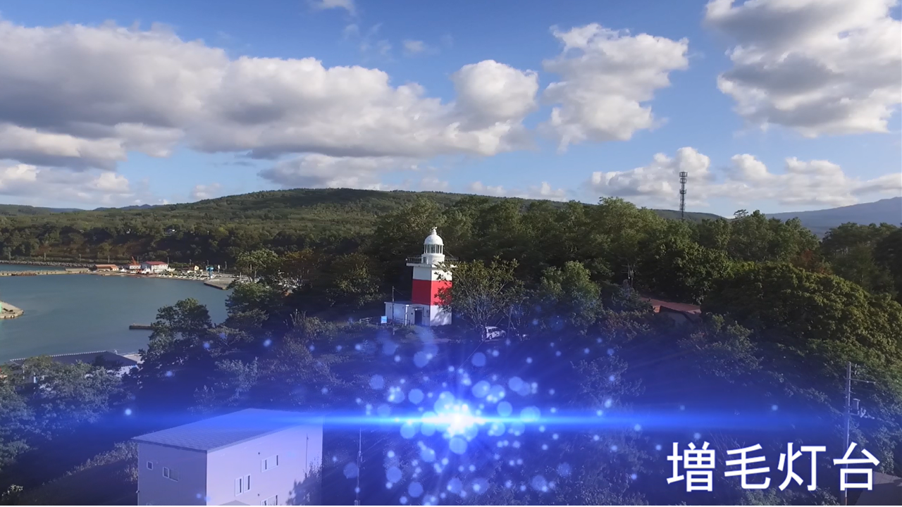 ����T���l�C��