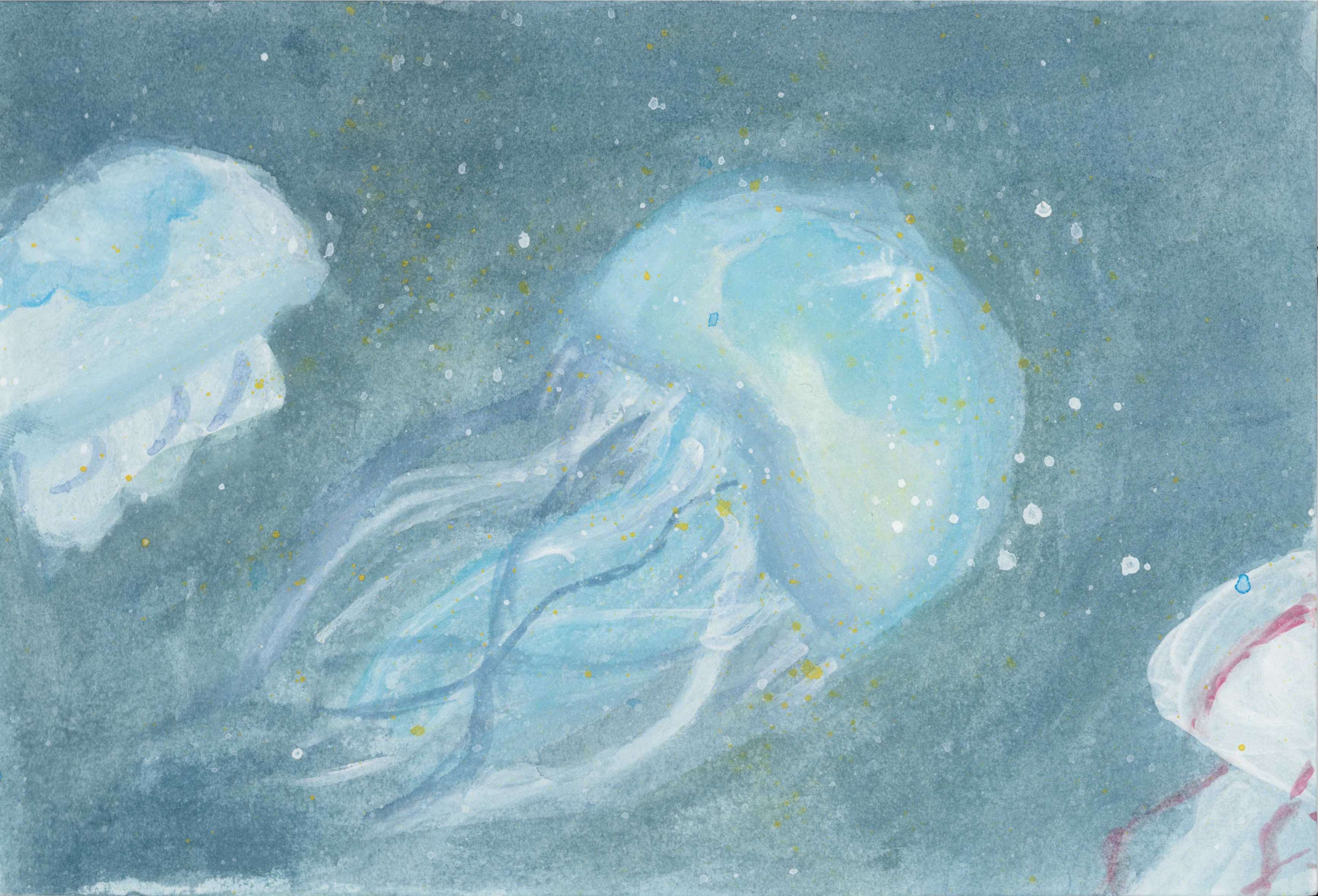 第24回図画コン受賞作品ページ