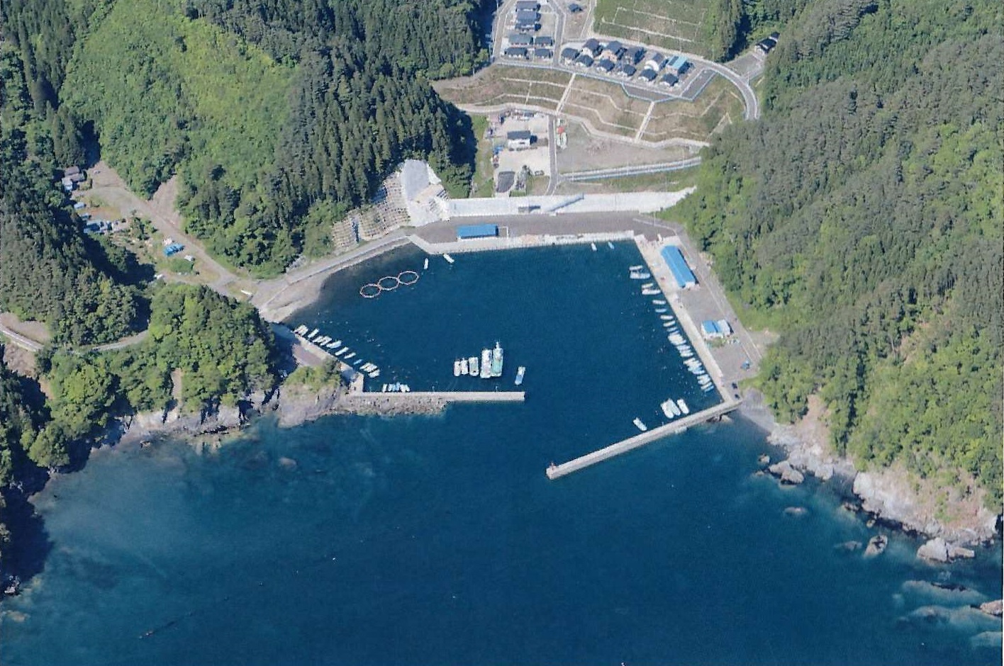 桑ノ浜漁港画像