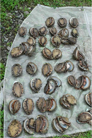 �������������