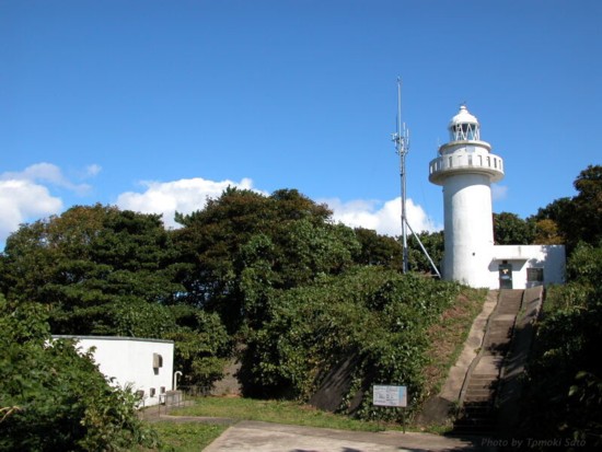 ���򓇓���