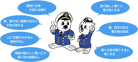 �V�C�̂��Ƃ킴