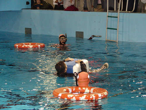 ���C�t�W���P�b�g���p�̌���