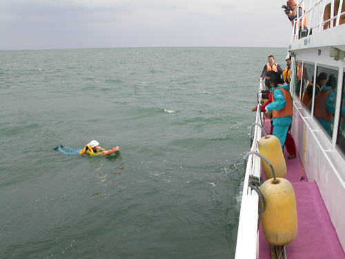 �}�������W���[�D�C��~���P��