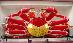 ���ǋ� ���C�t�W���P�b�g�������J�j�H