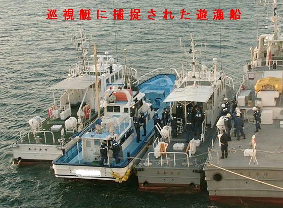 �������ɕߑ����ꂽ�V���D