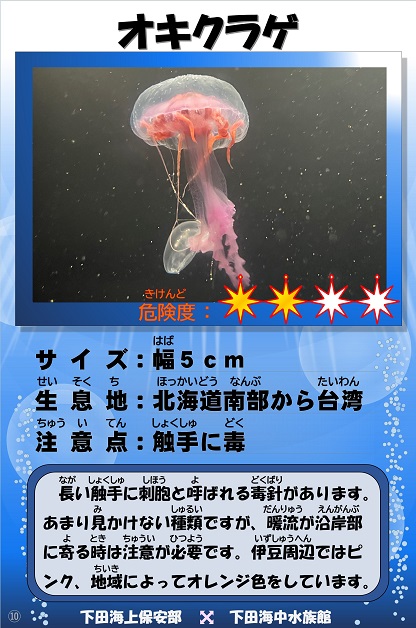 �I�L�N���Q�̉摜