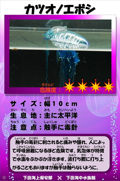 �J�c�I�m�G�{�V�̉摜