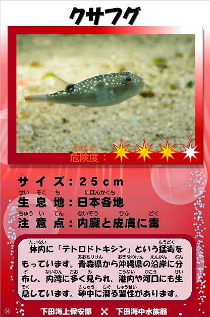 �N�T�t�O�̉摜