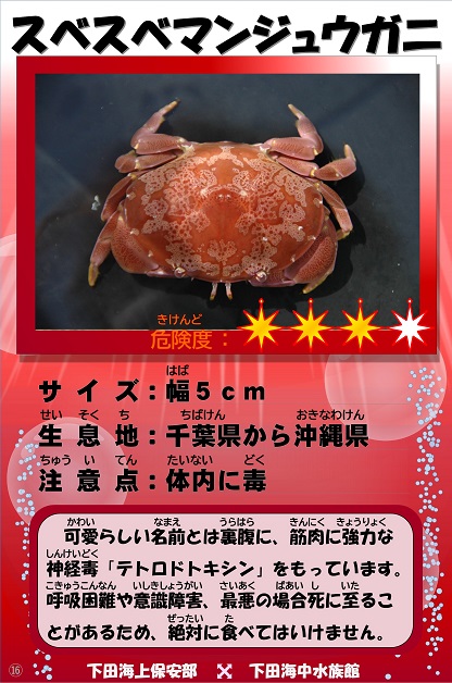 �X�x�X�x�}���W���E�K�j�̉摜