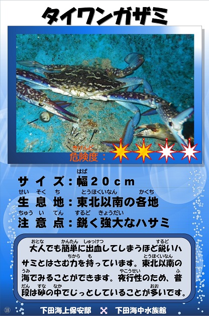 �^�C�����K�U�~�̉摜