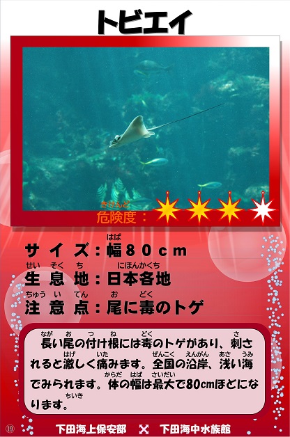 �g�r�G�C�̉摜