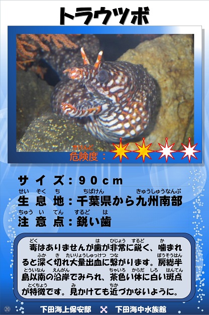 �g���E�c�{�̉摜