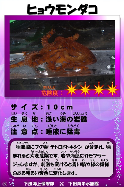 �q���E�����_�R�̉摜