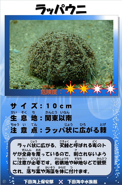 ���b�p�E�j�̉摜