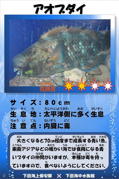 �A�I�u�_�C�̉摜