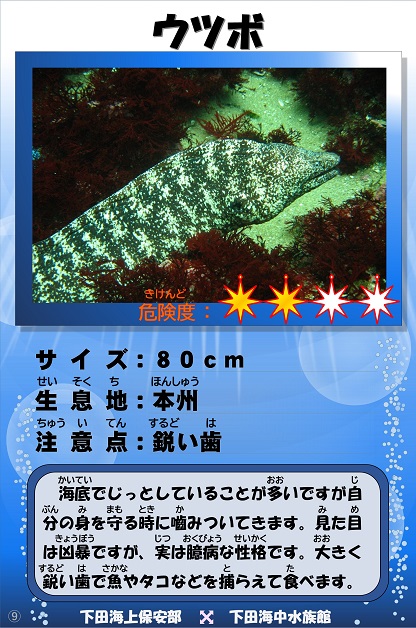 �E�c�{�̉摜